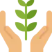 tree-75x75 tree-75x75